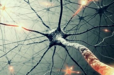 Deep Learning Methods AI Practitioners