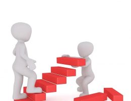 software testing career