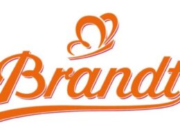 Brandt Font