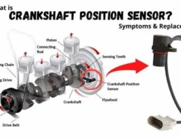 Crankshaft Position Sensor